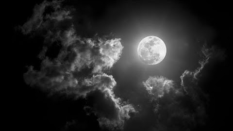 ولقد آتينا داود وسليمان علما سورة النمل القاريء انس الشافعي