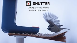 Getting closer when photographing wildlife with a camera remote control app - Shutter screenshot 5