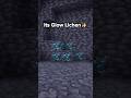 Your Opinion ❓#minecraft #trend #trend #trending #views #viral