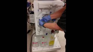 Termination of treatment - Braun Machine