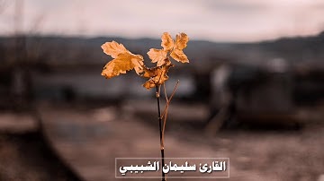 🕳..   وَأُفَوِّضُ أَمۡرِيٓ إِلَى ٱللَّه  ..🕳 تلاوة خاشعة لما تيسر من سورة غافر