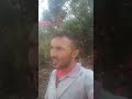 Seja  sempre  gato!