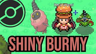 SHINY BURMY FROM A HONEY TREE IN POKEMMO! 3RD TREE SHINY!