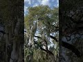 Connecting to Unlimited Potential of Fantasy