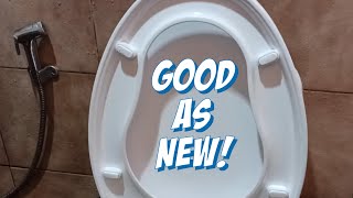 Toilet Seat Restoration DIY
