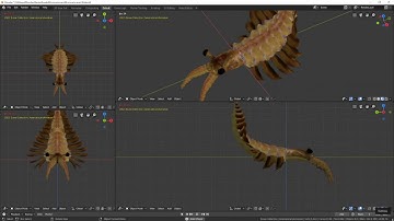 Blender anomalocaris material