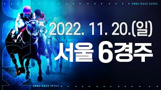 (서울) 2022.11.20 6경주