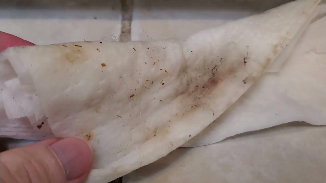 How to Clean Under the Dishwasher in Your Kitchen YouTube