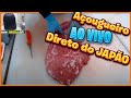 picnha com alcatra