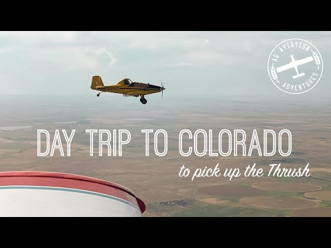 Quick Colorado Day Trip to Pick Up the Thrush
