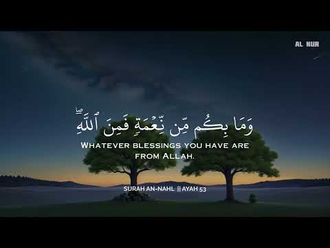 ساعتين متواصلة تلاوة تقشعر لها الأبدان بصوت عبد الرحمن مسعد Reciter Abdul Rahman Mosad 