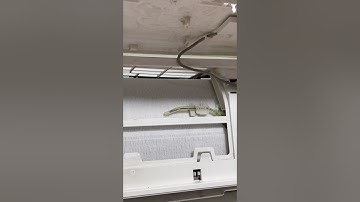 Split Ac Ice Problem | Split Ac Indoor Ice Problem #shorts #hindi #ice