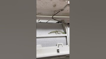 Split Ac Ice Problem | Split Ac Indoor Ice Problem #shorts #hindi #ice