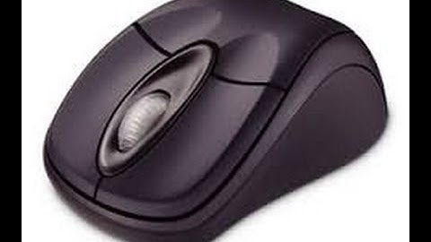 Optical Mouse Unboxing Microsoft 3000