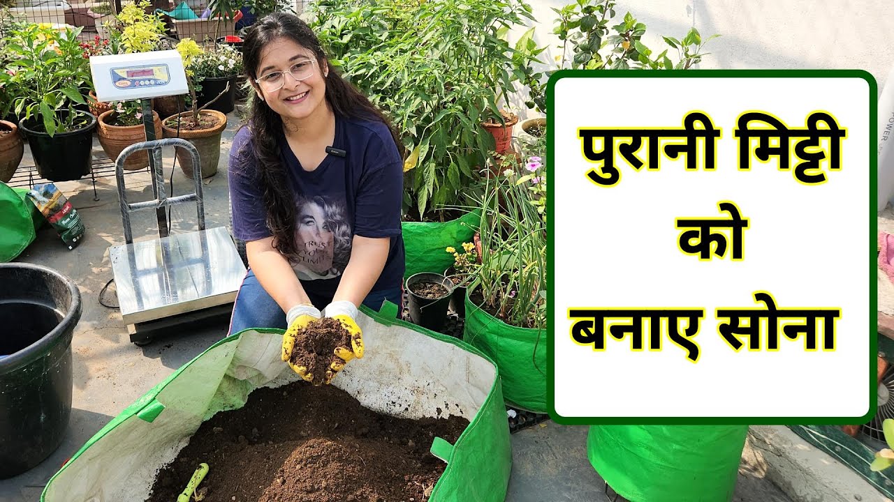 🔴RECHARGE & REUSE OLD SOIL ORGANICALLY पुरानी मिट्टी इस्तेमाल करे SOIL FOR PLANTS  