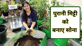 🔴RECHARGE & REUSE OLD SOIL ORGANICALLY पुरानी मिट्टी इस्तेमाल करे SOIL FOR PLANTS  #gardening #soil by Voice of plant 131,555 views 1 month ago 19 minutes