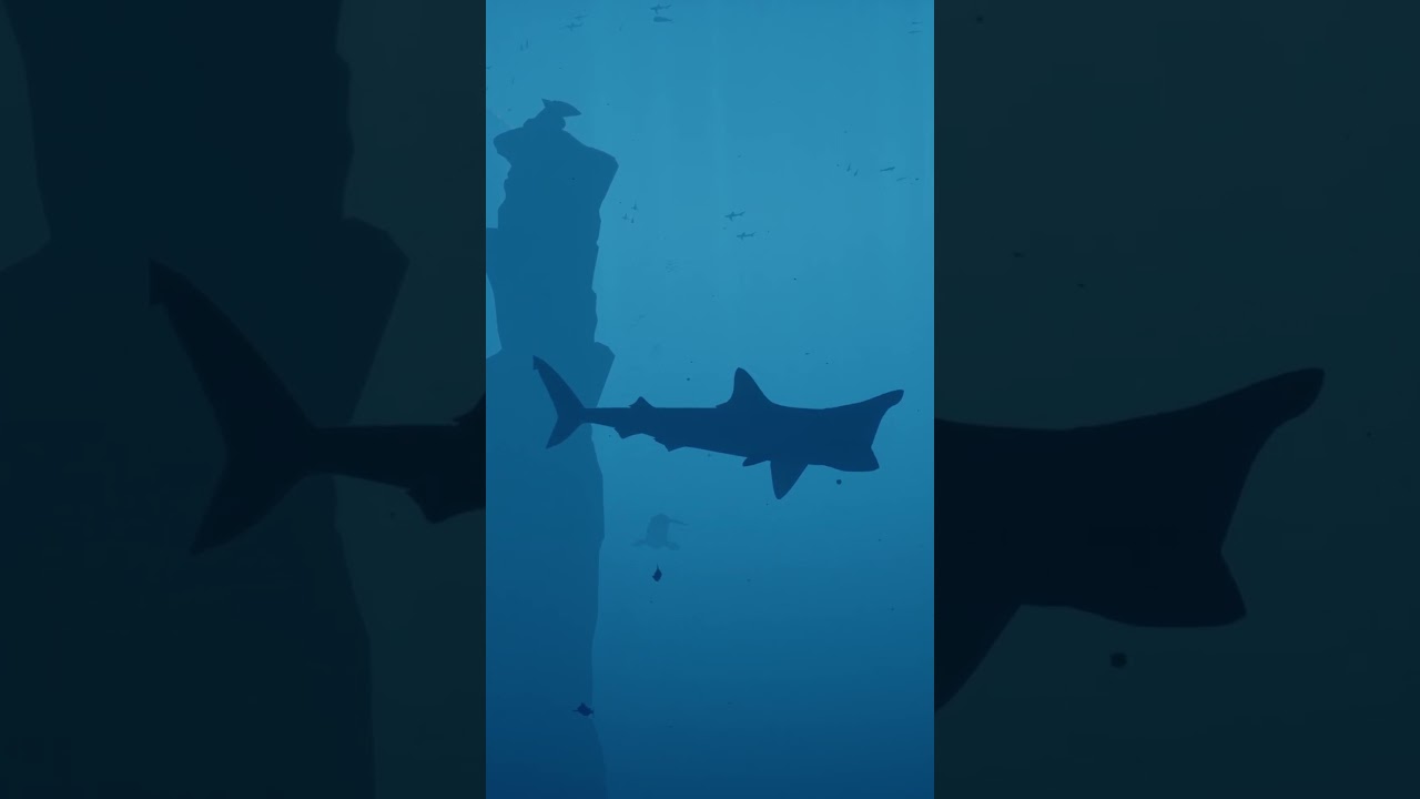 ABZÛ | Shark Week 2024 - BaskingShark