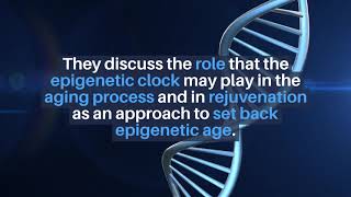 Aging: The Epigenetic Clock, Aging, and Rejuvenation