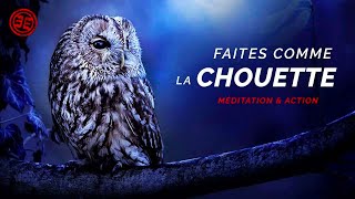 CROYANCES LIMITANTES : La Métaphore de la Chouette ! Resimi