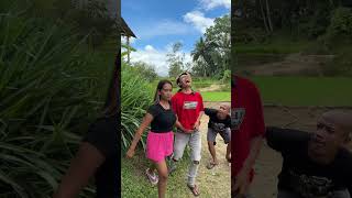 Beautiful Afternoon Atmosphere