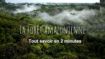 Où se trouve l'Amazonie ?