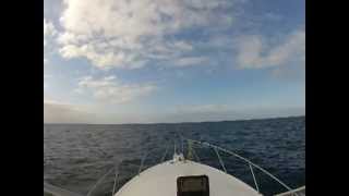 Galapagos 2012