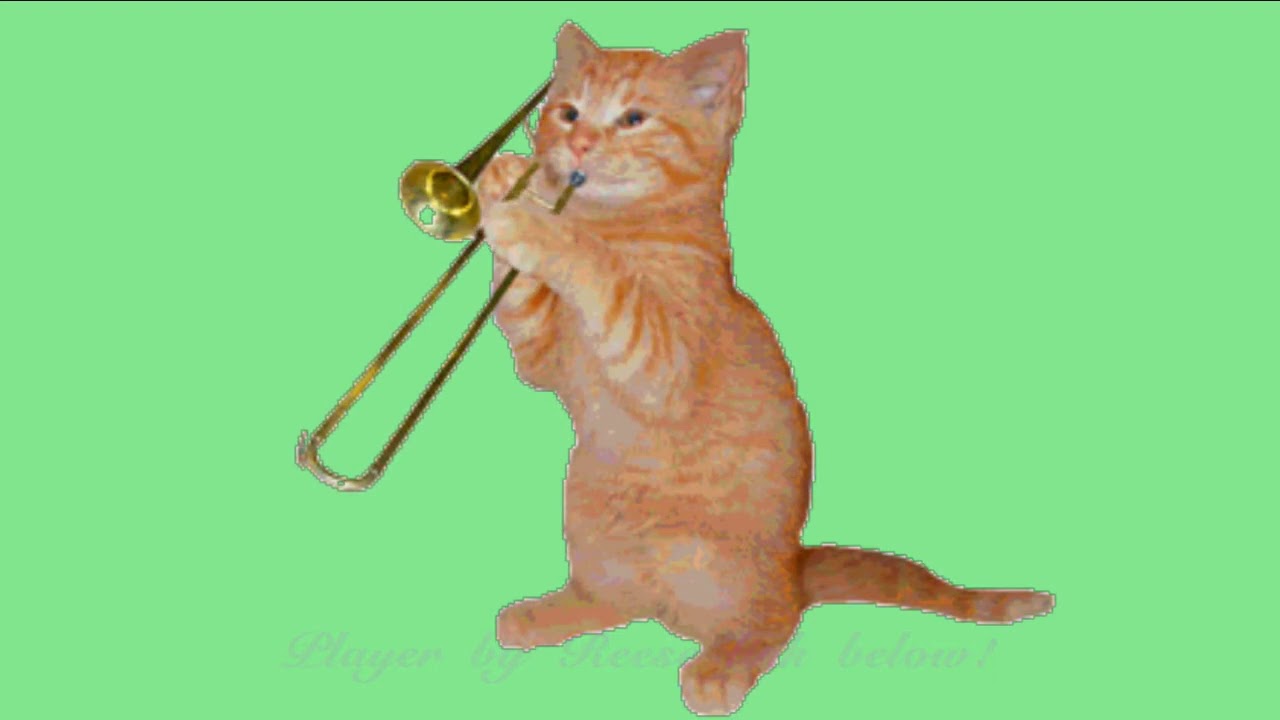 Cat playing music Trombone ! Funny video YouTube
