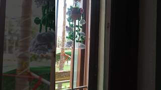 FLOWER HANGING 🥀 #crochet #crochetpatterns #freetimecreation #handmade #loveknitting #summerknits