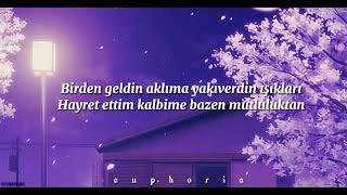 sena şener- tuna kiremitçi- birden geldin aklıma (sözleri/ lyrics) Resimi