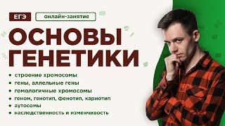 ⁣Основы генетики | ЕГЭ Биология | Даниил Дарвин