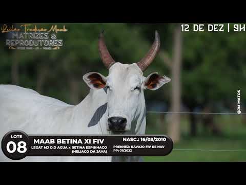 LOTE 08   MAB 1833