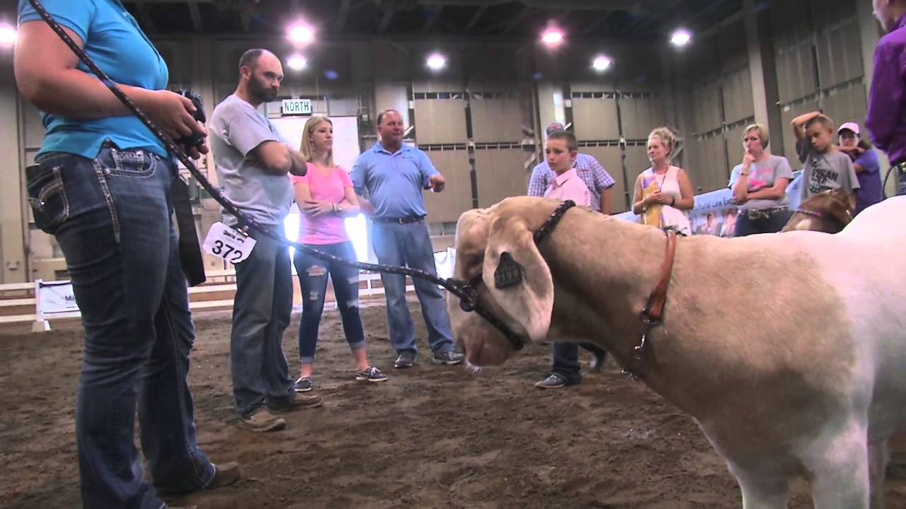 Support Michigan Livestock Expo Saleabration Auction YouTube