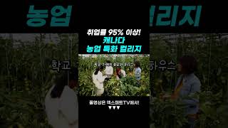 취업률 95% 이상!! 캐나다 농업 특화 컬리지! #캐나다농업 #캐나다취업 #캐나다이민
