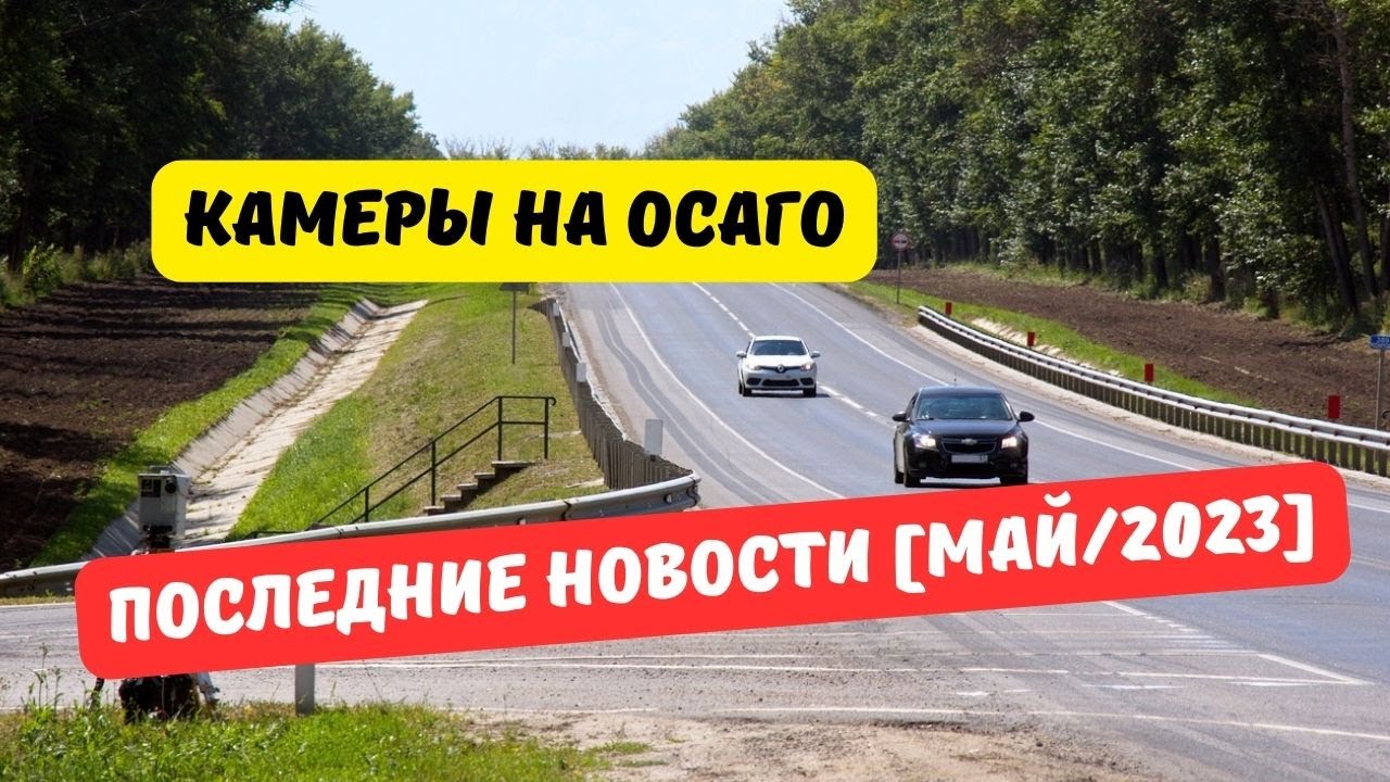 Осаго новости последние