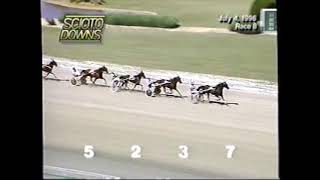 1996 Scioto Downs SHARPE SAM Ron Pierce OHSS 3YO C&G Pace