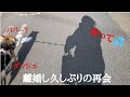 元旦那に会いに行ってきました…