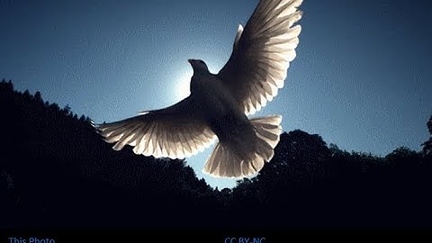 Class 8, unit 10,lesson 2