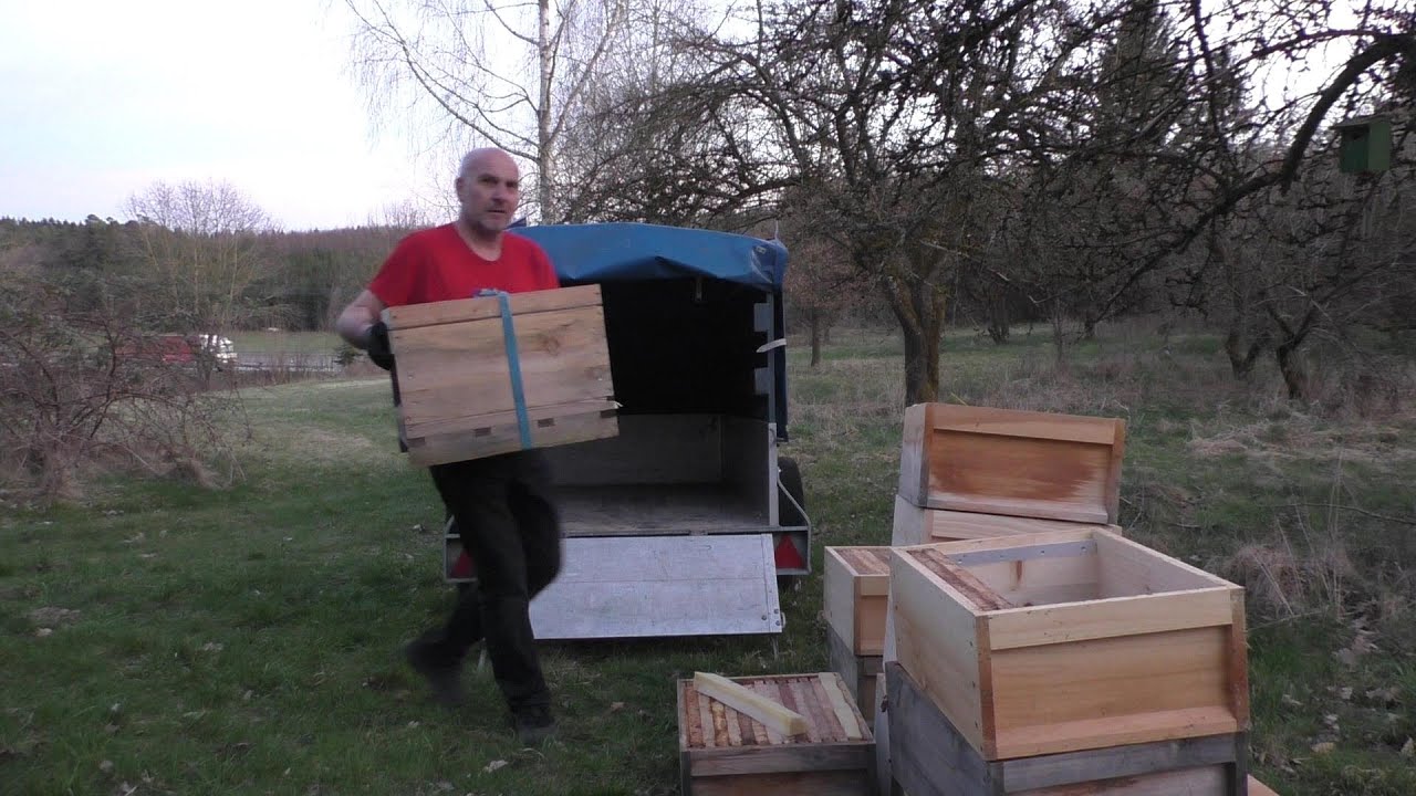 Wandern mit Bienen Teil 1