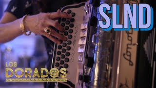 Los Dorados - SLND (En Vivo)