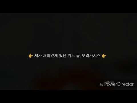 뵤뵤가 재미있게 본 위트 글 |  위트  |  wit  | 릿나잇님  |  슈퍼파워걸여주선배님  |  뭉옌  |  뵤뵤 |  샐름님 영상