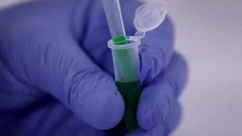 Accumax Micro Centrifuge Tubes