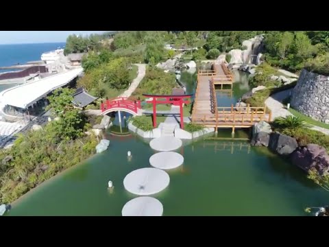 6 гектар Японского сада в Крыму!!! (серия 1) / Japanese garden / 日本庭園
