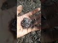 call mining