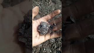 call mining