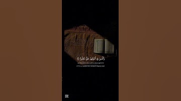 القارئ الشيخ محمود علي البنا _ آيات من سورة المعارج #قرآن #آيات #محمود_علي_البنا