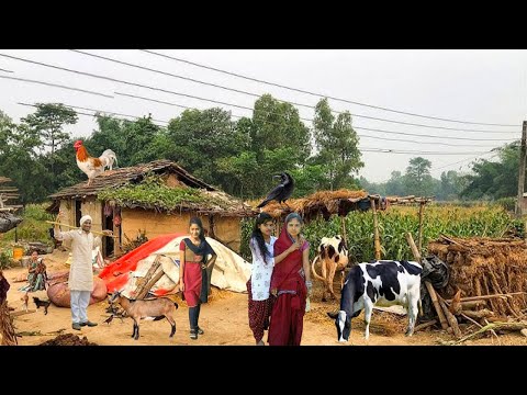 Very Unique Woman Village Life India | Traditional Village Food | Old Culture of Indian Village