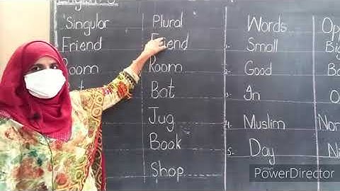 Class 1st - English Grammar & Vocabulary Words - Assignments for Copy # 03 - HSS