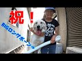 【規格外】おやつは適度な大きさの物をあげましょう！恐怖で食が進みません！　GoldenRetriever