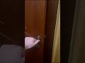 C’È THANOS DI SQUID GAME DAVANTI LA PORTA di CASA MIA! #giox97 #shorts #squidgame #horror #thanos