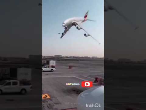 Avion bailando ✈️😂#funny #viral #shorts